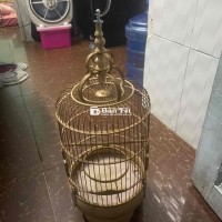 Cần Bán Lòng, Không Nuôi Nữa, Chia Lại Cho Anh Em Cần Sử Dụng