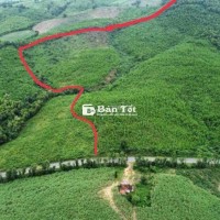 chính chủ cần bán 10ha tại quốc lộ 29c