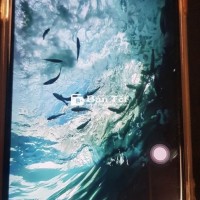 iPhone X 64GB - Máy Zin Full Chức Năng, Bao Test Thoải Mái  