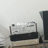 Em bán amli đâu đĩa