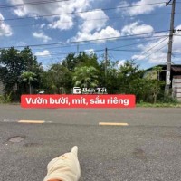 Cần Tiền Cho Con Du Học - Bán Gấp Vườn Trái Cây 1180m² (15x80m) - Xuân Tây