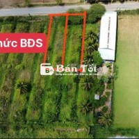 BÁN ĐẤT THỔ CƯ MẶT TIỀN NHỰA - GIÁP RANH TP. TÂN AN - CHỈ 720 TRIỆU!