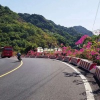 Bán 1500m² Đất Kinh Doanh Dịch Vụ Mặt Đường Du Lịch Xuyên Đảo Cát Bà  