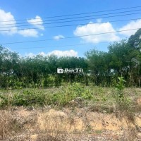 Bán Gấp 1100m² Đất Minh Thạnh, Dầu Tiếng, Bình Dương - Chỉ 720 Triệu!