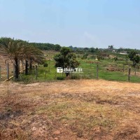 Đất TP Tây Ninh 6,2x49 thổ cư mặt tiền Kênh Tây 725tr View Núi Bà Đen