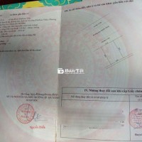 Bán lô biệt thự Nguyễn Đình Hoàn, Phường Nại Hiên Đông, Sơn Trà ĐN