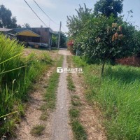 BÁN ĐẤT 500M2 ĐƯỜNG XE HƠI GIÁ RẺ - LONG AN, CẦN GIUỘC