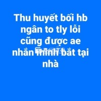 Thu Mua Cá Rồng Lỗi - Cũng Bắt Tại Nhà  