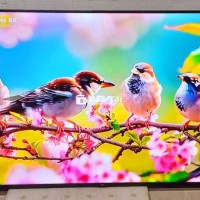 Tivi Wifi 4k 65 inch TCL - Giá sốc chỉ 5tr8!