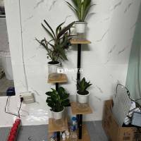 Kệ để cây cao 82cm - Thanh lý gấp!