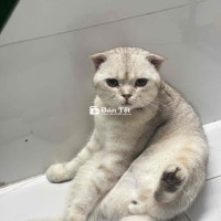 Bé đực hiền quấn người lắm ạ  