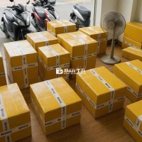 Tuyển Nhân Viên Chứng Từ XNK