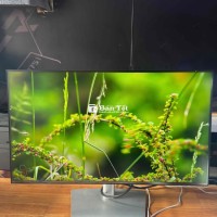 Trải nghiệm hình ảnh chân thực với màn hình Dell U2422H