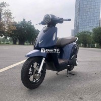 Vinfast Evo 200 Pin sạc mua đứt, sẵn phiếu xuất xưởng, phụ kiện đủ 2 gương, 2 chìa, xem xe ở Gia Lâm-HN (gần VinOcean Park)  