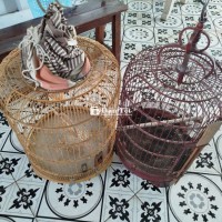 Lồng Thanh Lý Thánh Lý Lồng Các Loại Như Hình  