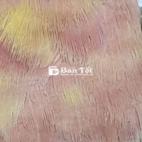 Xanh Hồng Đột Biến GL Khuớu Hay MI 2 Năm Tuổi Ngoan Hiền  