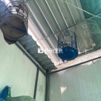 Lồng Nuôi Chim Cũ - Nhận Miễn Phí  
