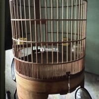 Lồng hoạ mi