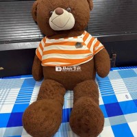 Gấu Teddy 1m6 còn mới  