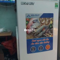 Tủ Đông Hòa Phát - Trữ Sữa Hoàn Hảo, Bảo Quản Thực Phẩm Tuyệt Vời!
