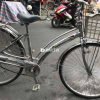 Xe Đạp Sinh Viên Giá Rẻ Đẹp  