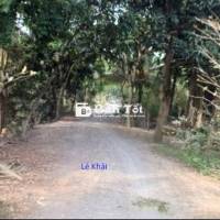🔰Bán đất vườn: 2.100m² (39m x 55m) 🔰Đường đá xe ba gác