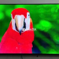 Dọn Nhà Tivi Samsung 50in Qled Nguyên Seal – Còn Mới, Giá Tốt!  