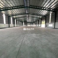 Cho Thuê Nhà Xưởng Mới KCN Bàu Bàng, Bình Dương
