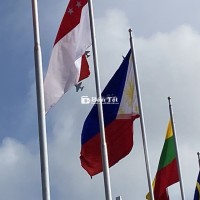 Có 3 bé cichs Non cần bay