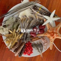cá ngựa ,hải long , sao biển .em lên combo