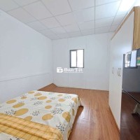 STUDIO FULL NỘITHẤT MỚI ĐẸP-NGAY PHAN VĂN HỚN GIAO TRƯỜNG CHINH-Ở LIỀN