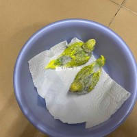 Yến phụng non màu đẹp