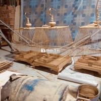 sin đẹp giá mềm ae