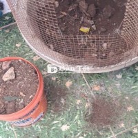 Chuồng AVI Chắc Chắn, Đa Năng - Phù Hợp Mọi Vật Nuôi  