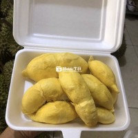 SẦU RIÊNG RI 6