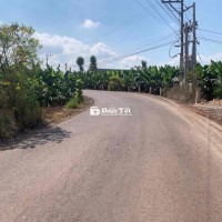Đất sổ riêng thổ cư giá rẻ Trảng Bom, Đồng Nai