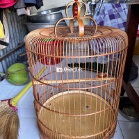 lồng chim choè than,chào mào