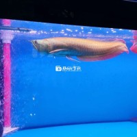 Thanh lý Kim Ngân Thường size 40+