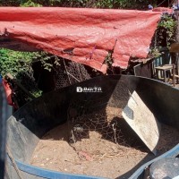 Thanh lý sới, lồng 80  