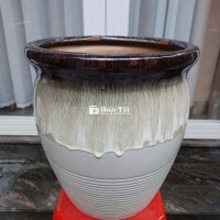 Chậu gốm hàng XK đẹp xuất sắc, tặng cây nha đam