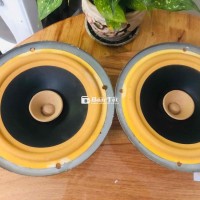 cặp loa toàn dãi bass 22cm như hình