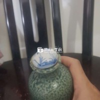 Bình với cái nắp cổ giá rẻ