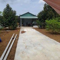 Cần bán gấp lô đất & vườn sầu riêng tại phường Minh Hưng