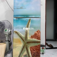 Tủ lạnh Sanyo ( đã qua sử dụng )
