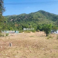 BÁN NHANH LÔ ĐẤT THÔN AN NINH – DIÊN AN