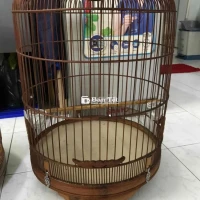 Chim Lồng 68 Nang - Cặp Lồng Cứng Cáp, Đủ PK  