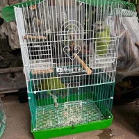 thanh lý cái lồng chim vẹt