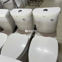 Bồn cầu American Standard - Hàng mới về, mẫu mã đa dạng!