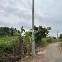 bán 3lô fo vừa ra lò tân Bửu Long An