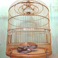 Lồng 80 nóc đơn